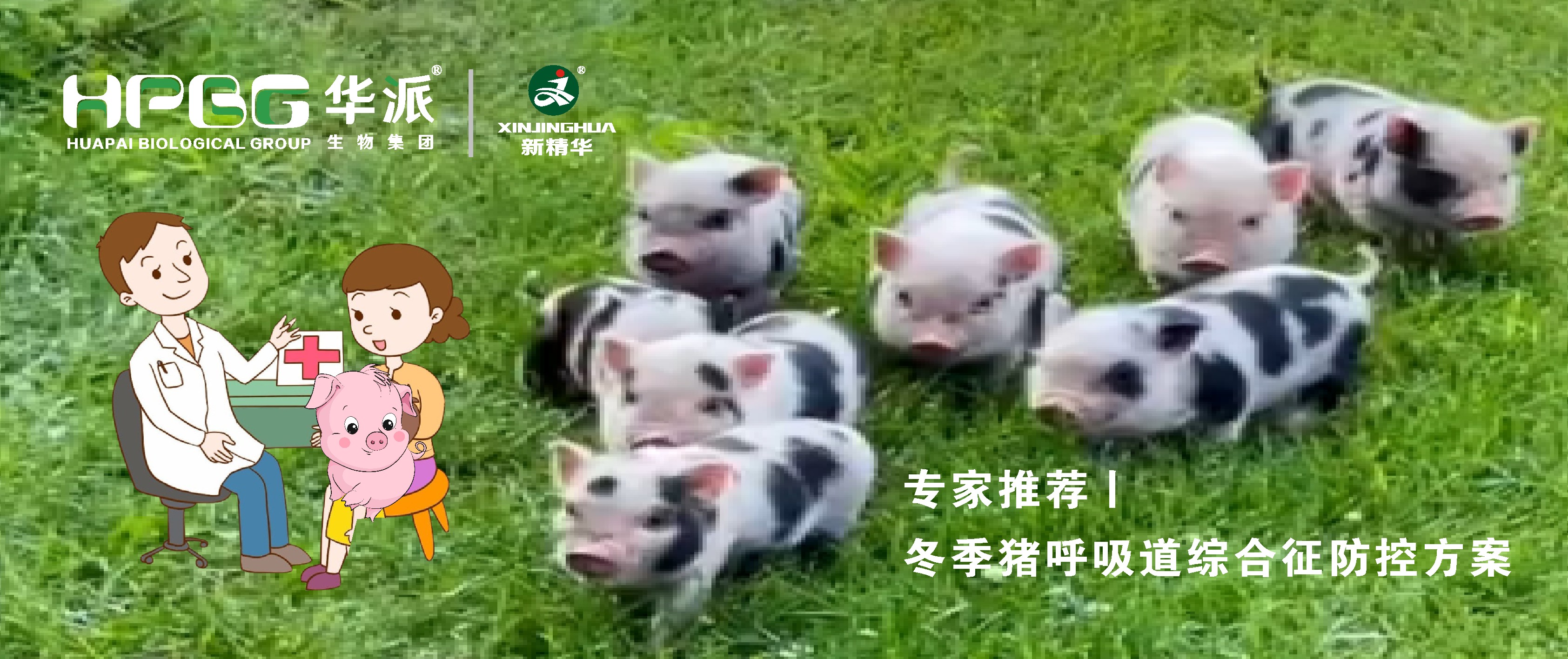 ��Ƶح�������������ۺ������ؼƻ������պ�&hellip;&hellip;