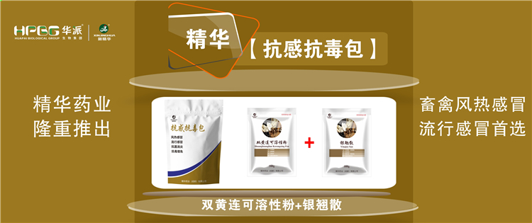 ���գ����ֳ��������˷���ʢ�����˷�ķ��� |�����п��������������ס������Ŷ����������������ݷ����˷硢ʢ���˷���ѡ!