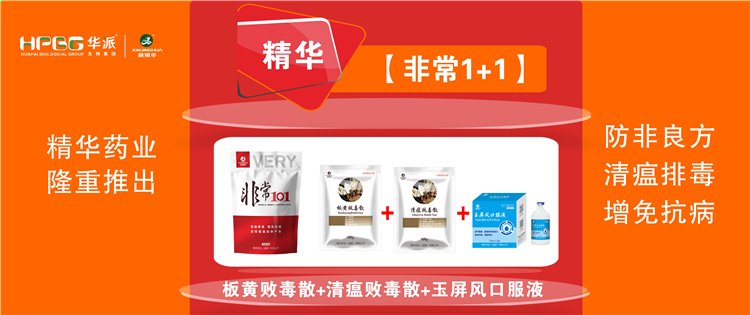 ���գ������������ز��� |������1+1����������, �����Ŷ������⿹���������������屬��!